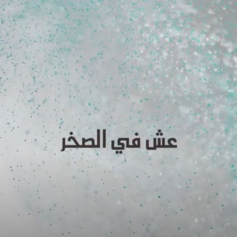عشّ في الصخر