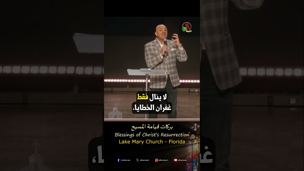شادي سليمان